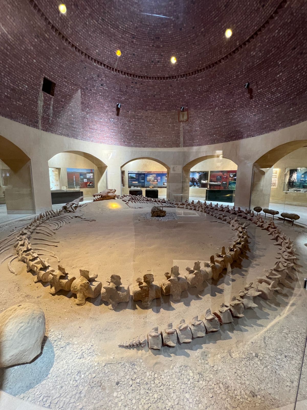 Full Day Tour to Fayoum Oasis (Wadi El Rayan, Wadi El Hitan, 4x4 & Sandboarding) 6