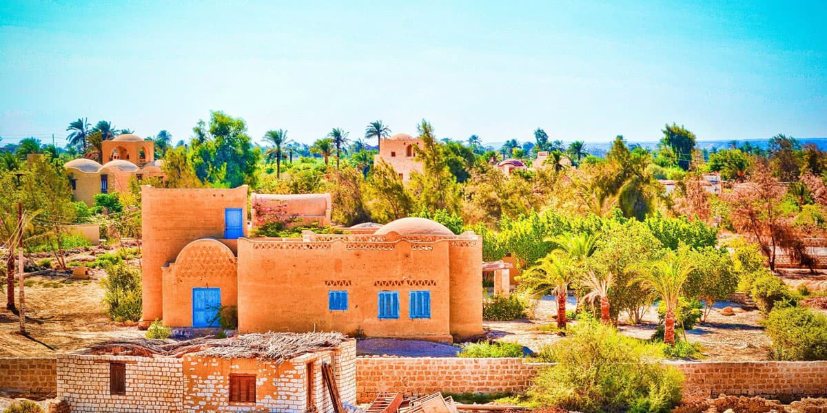 Full Day Tour to Fayoum Oasis (Wadi El Rayan, Wadi El Hitan, 4x4 & Sandboarding)